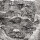 Image for article titled These Incredible Maps Were Made with Thousands of Photographs